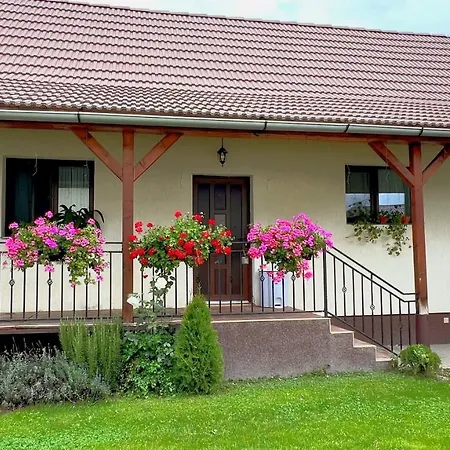 Siebenbuerger Haus Holiday home *