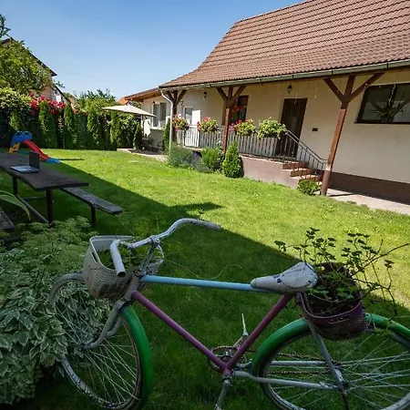 Holiday home Siebenbuerger Haus